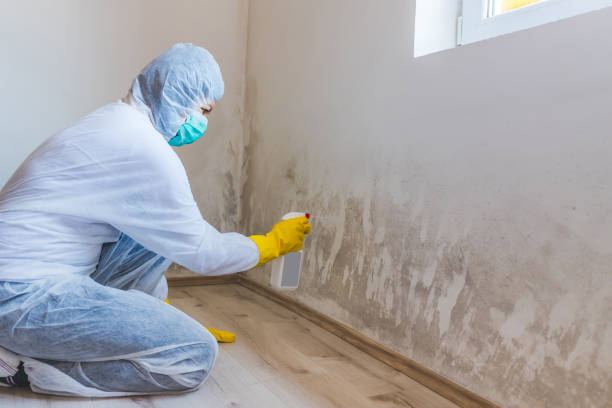 Licensed Bathroom Mold Removal service in Upper Black Eddy, PA - WQB Mold Removal