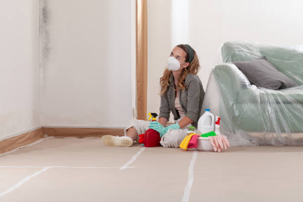 Reliable Bathroom Mold Removal contractor in Upper Black Eddy, PA by WQB Mold Removal